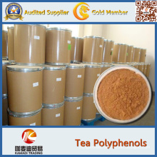 Green Tea Extract Tea Polyphenol